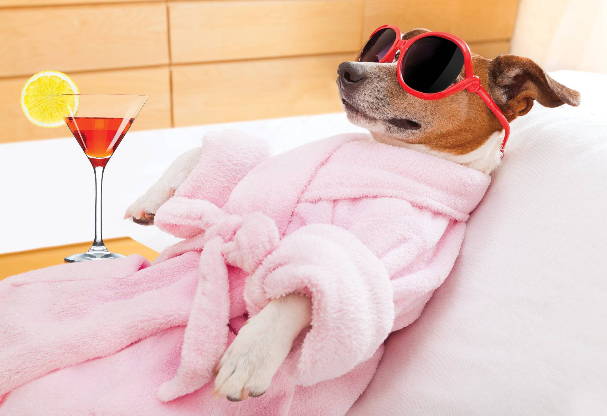 Funny pup birthday card from Pictura featuring a cute dog illustration, perfect for celebrating with a humorous touch.